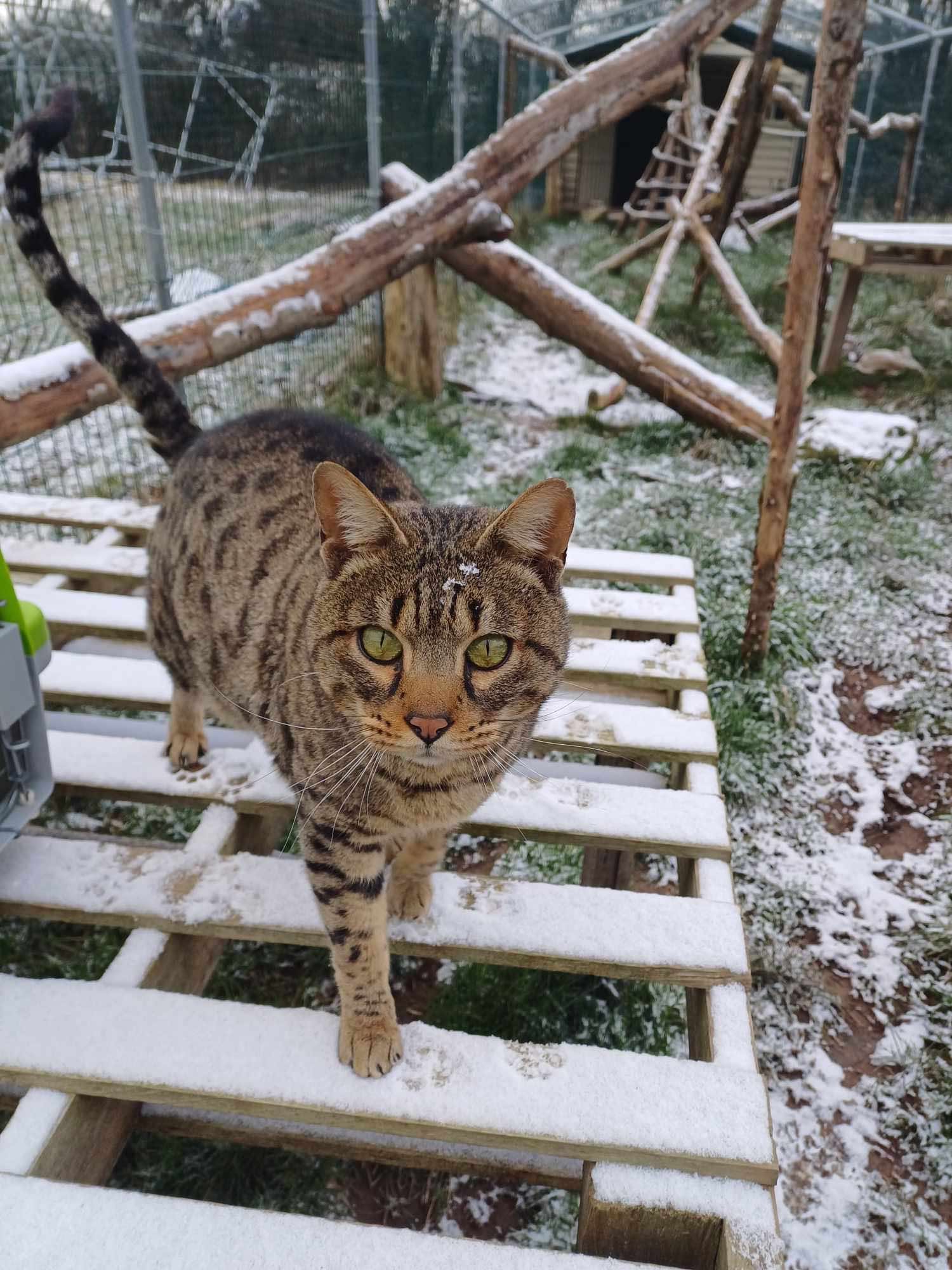 Messenger_creation_D12FE28E-BBA6-4029-AE78-DCDC24DDB8A2