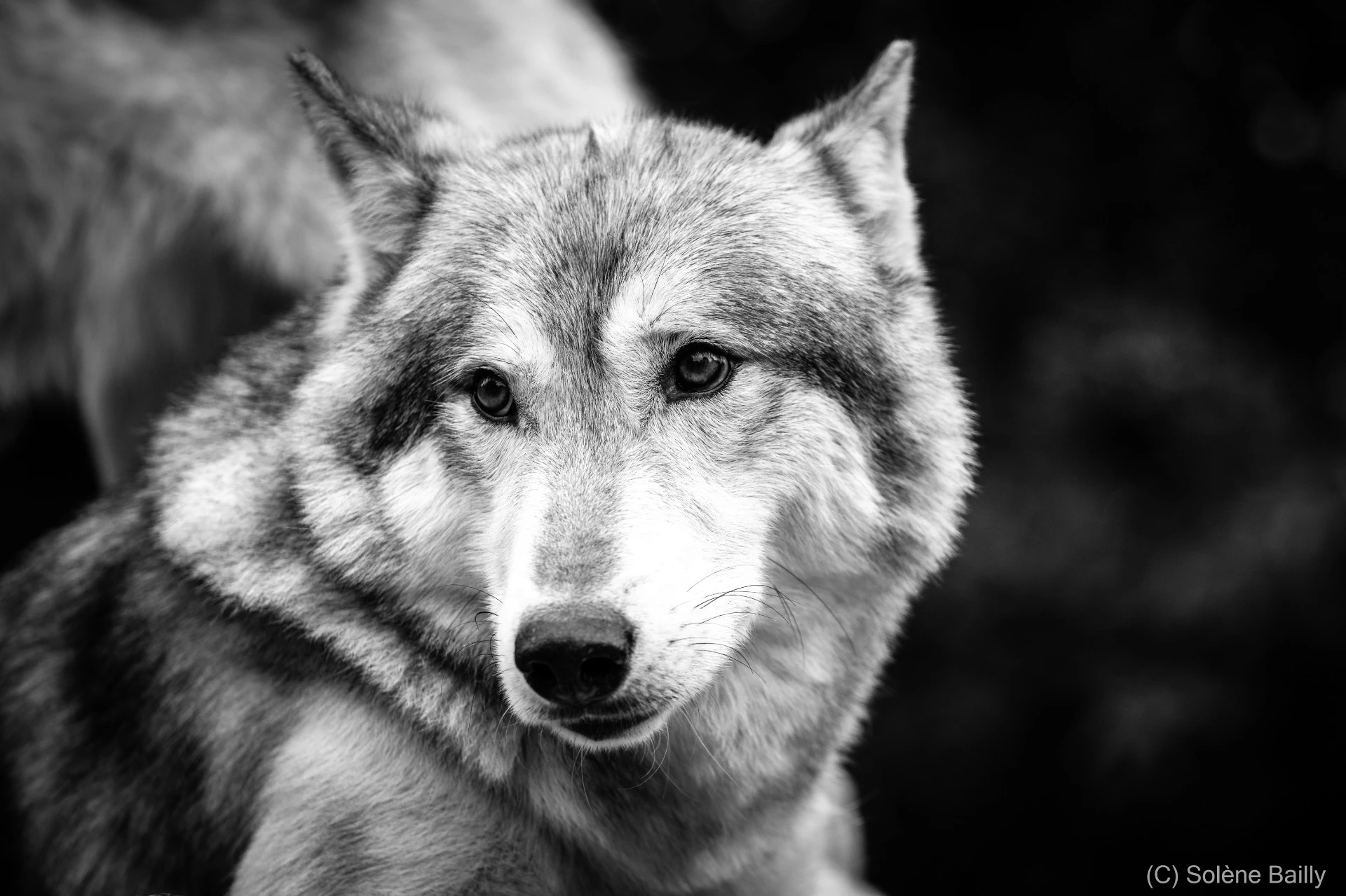 SB103234_Solene BAILLY Photos