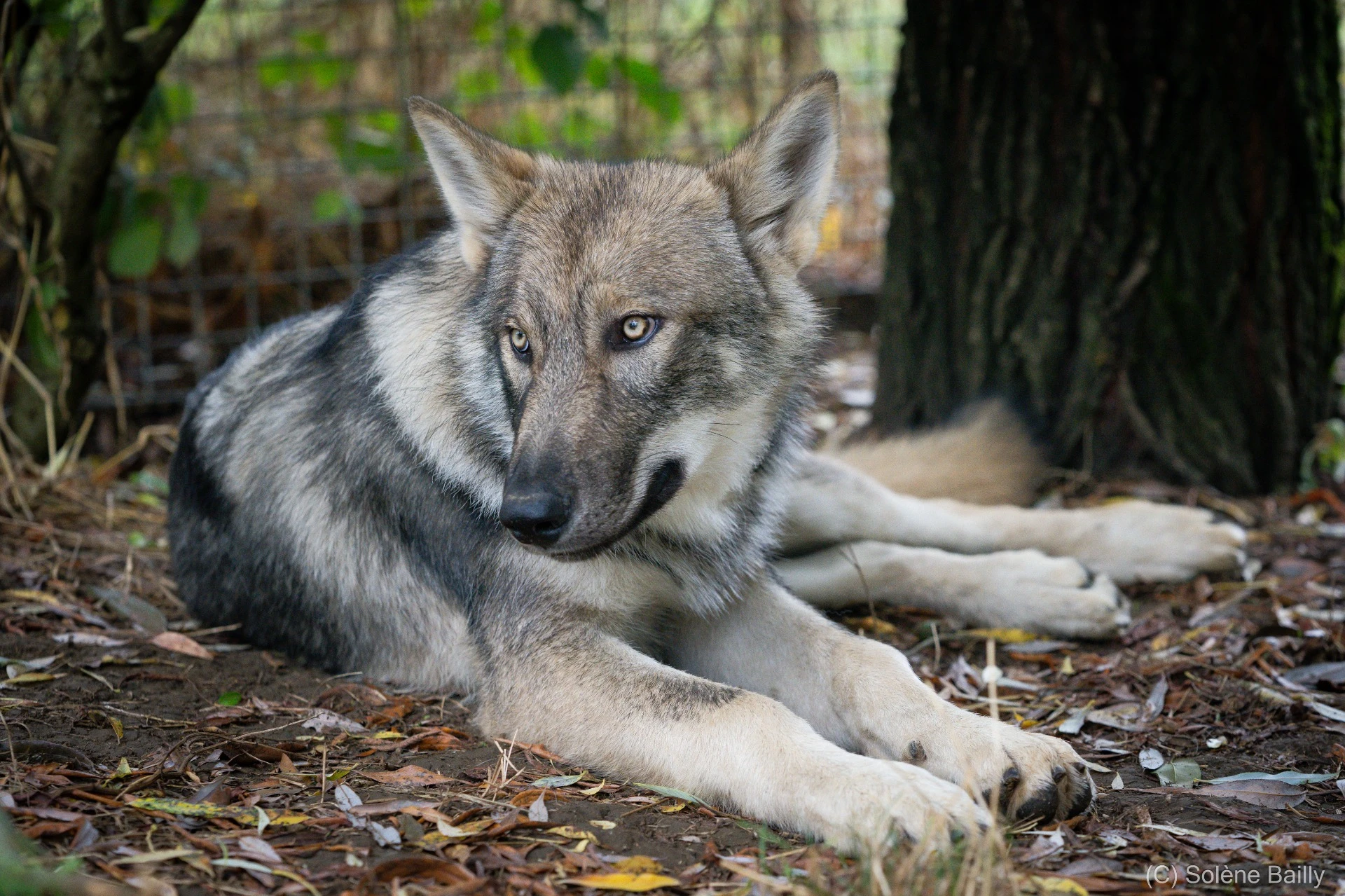 SB103254_Solene BAILLY Photos