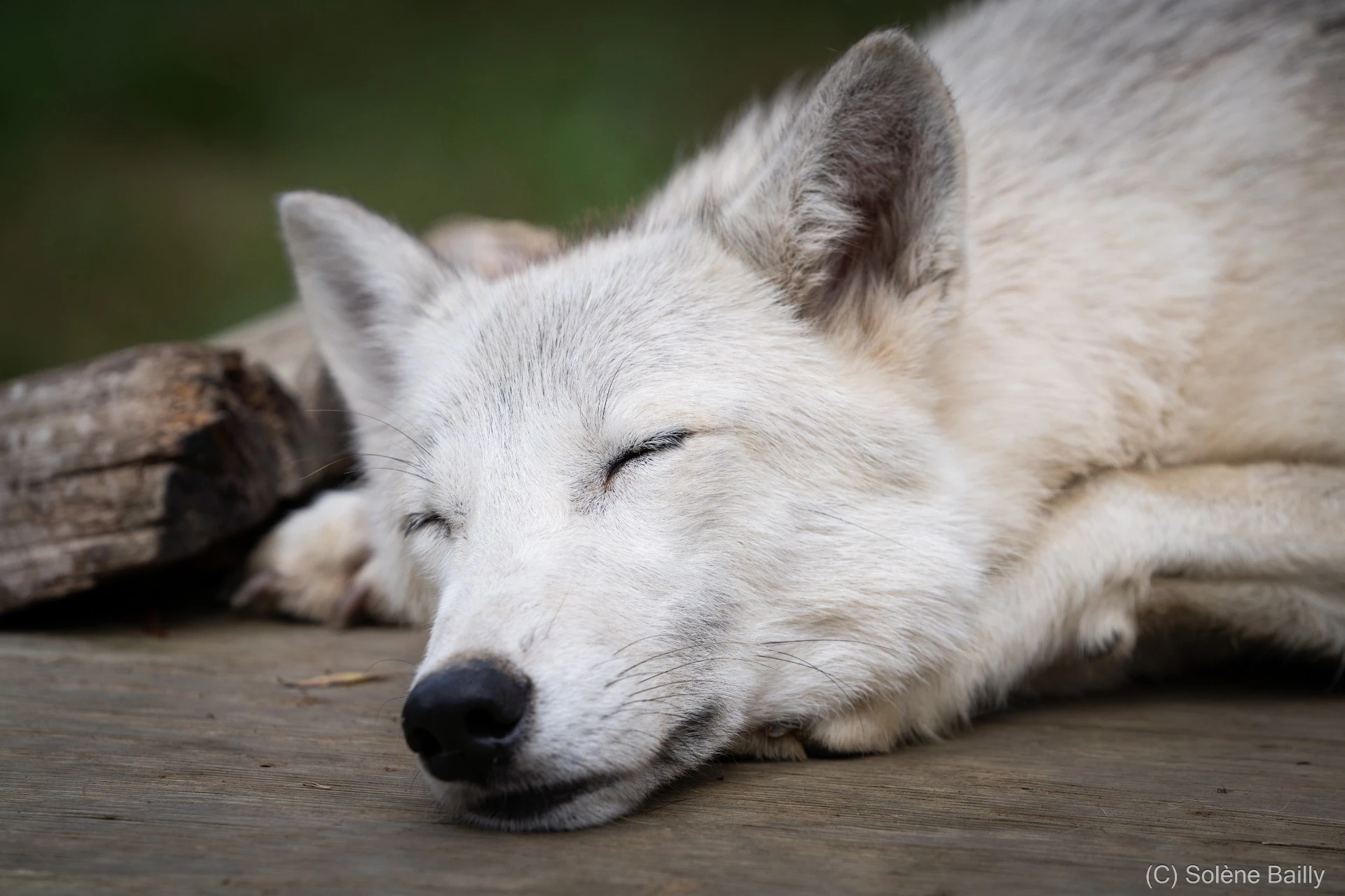 SB103378_Solene BAILLY Photos