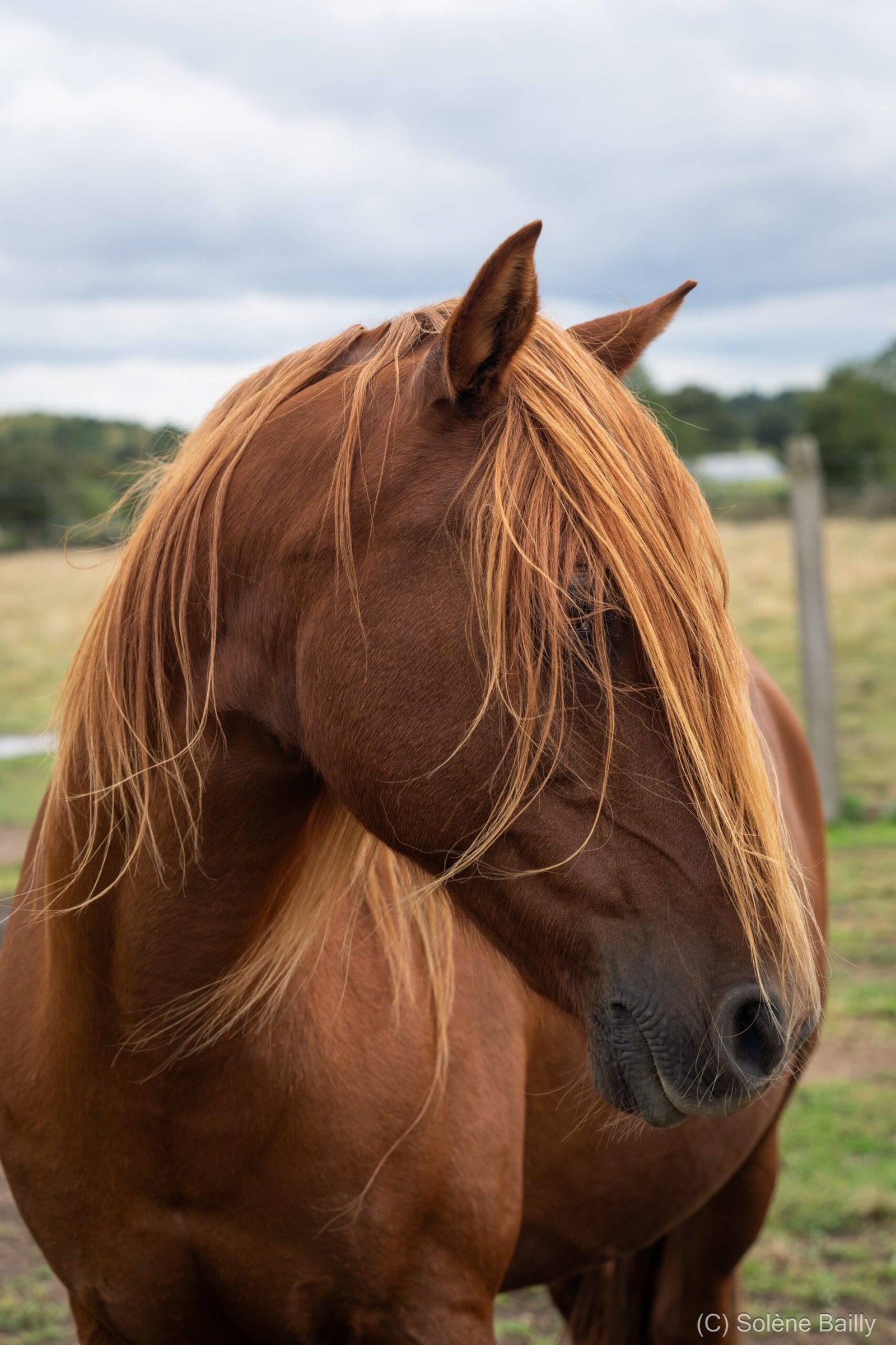 SB103461_Solene BAILLY Photos